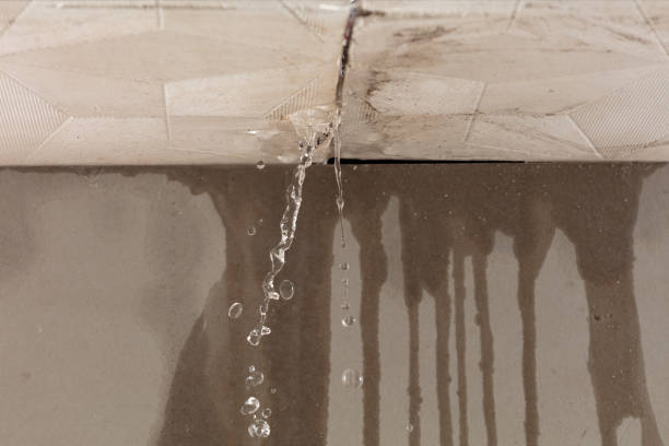 Professional Structural Drying technician working in Springville, VA